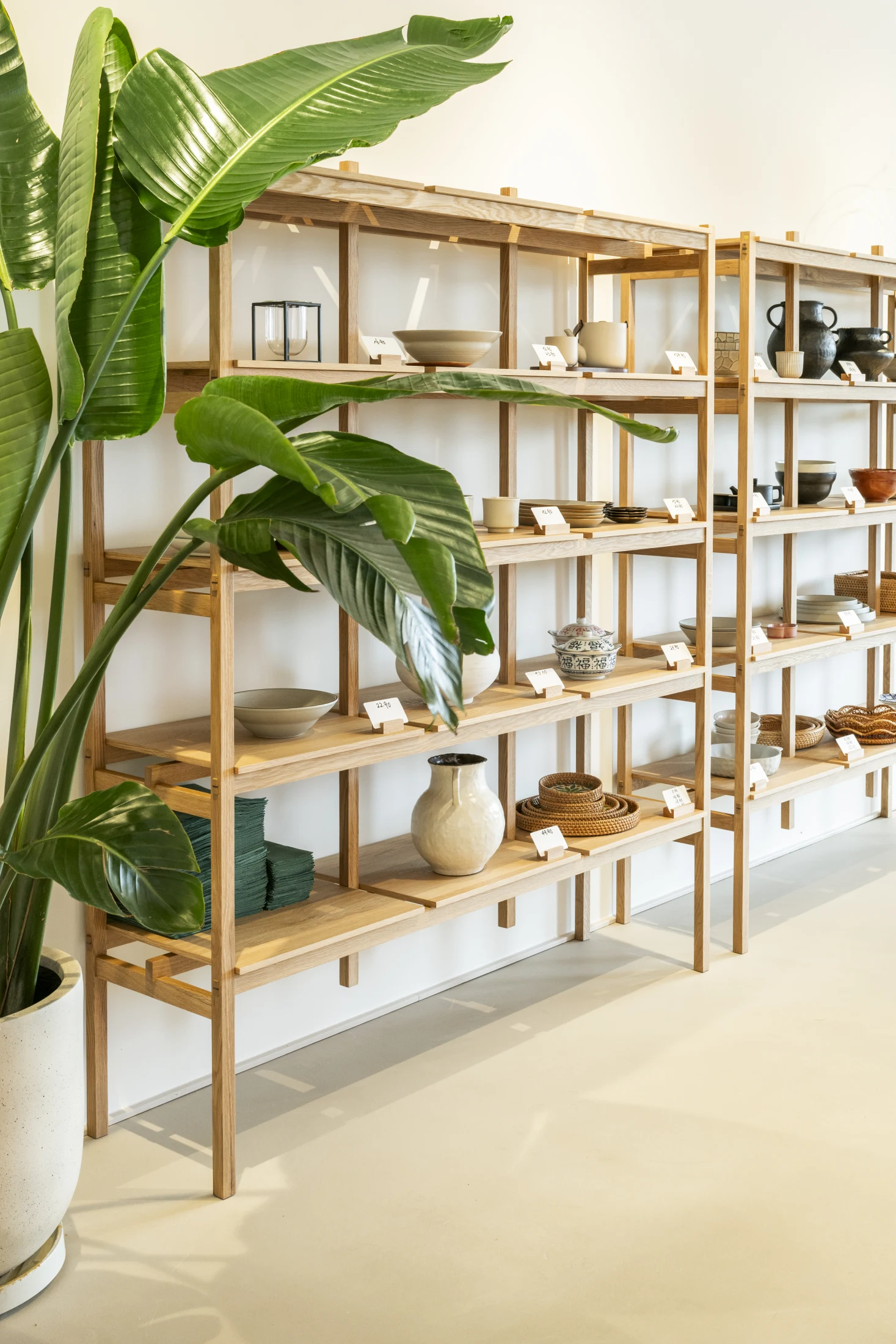 Kuratiertes Holzregal im MOJI Shop mit handgefertigter Keramik und Grünpflanze
